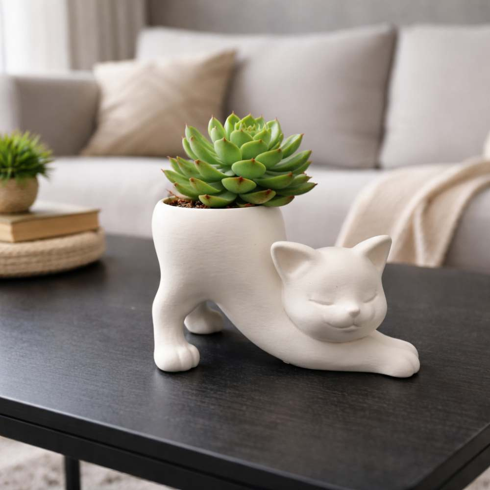 Planters & Pots