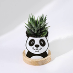 Bazinco Personalized Succulent Plant Pot – Cute Panda Ceramic Planter with Wooden Base | Unique Mother’s Day Gift & Indoor Desk Decor