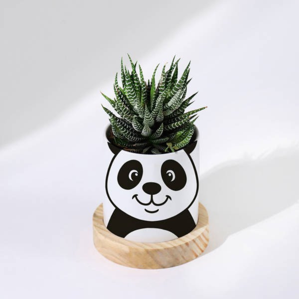 Bazinco Personalized Succulent Plant Pot – Cute Panda Ceramic Planter with Wooden Base | Unique Mother’s Day Gift & Indoor Desk Decor