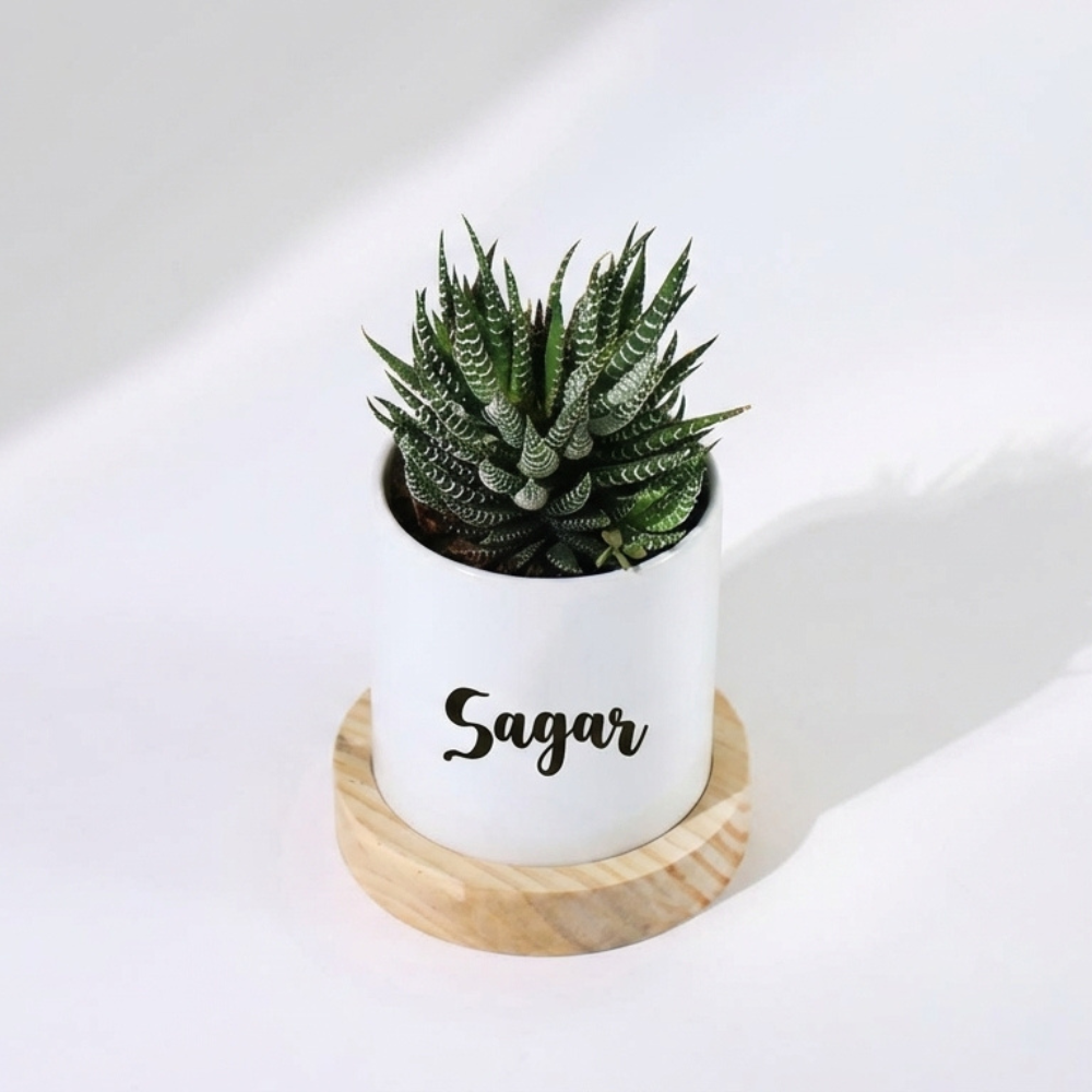Bazinco Personalized Succulent Plant Pot – Cute Panda Ceramic Planter with Wooden Base | Unique Mother’s Day Gift & Indoor Desk Decor