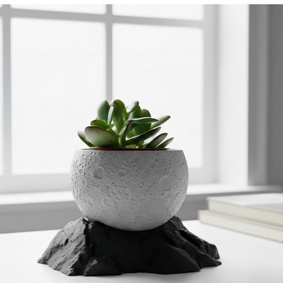 Bazinco Moon Shape Planter 3D Printed – Aesthetic Indoor Plant Pot with Stand
