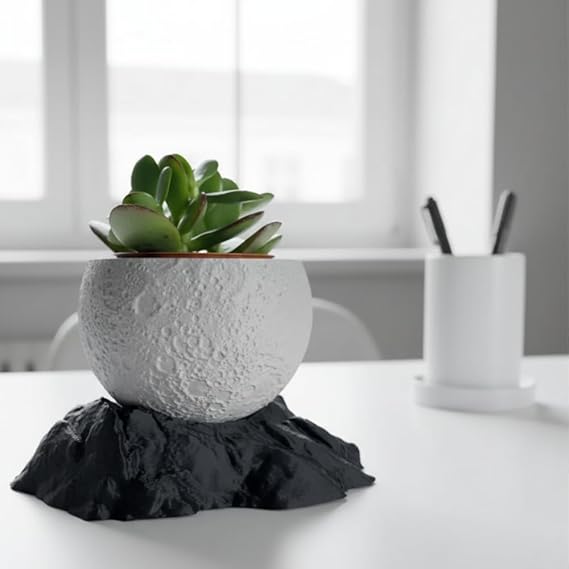 Bazinco Moon Shape Planter 3D Printed – Aesthetic Indoor Plant Pot with Stand