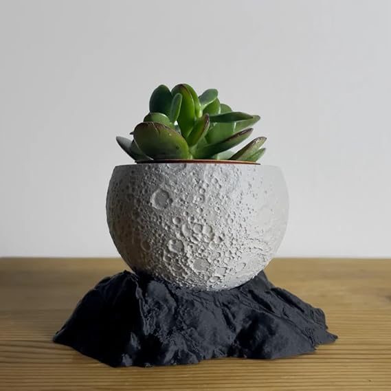 Bazinco Moon Shape Planter 3D Printed – Aesthetic Indoor Plant Pot with Stand