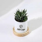 Custom Logo Planter for Office Desk | Personalised Corporate Gift Planter by Bazinco