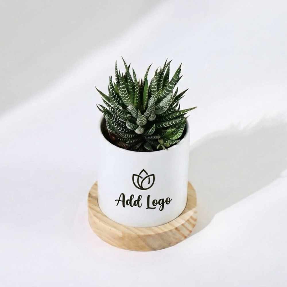 Custom Logo Planter for Office Desk | Personalised Corporate Gift Planter by Bazinco