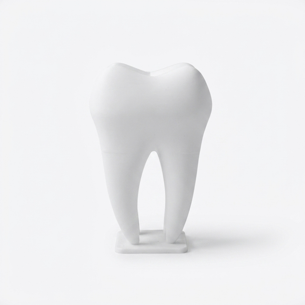 Bazinco Tooth Shape Card Holder – Modern Dental Desk Organizer & Business Card Stand